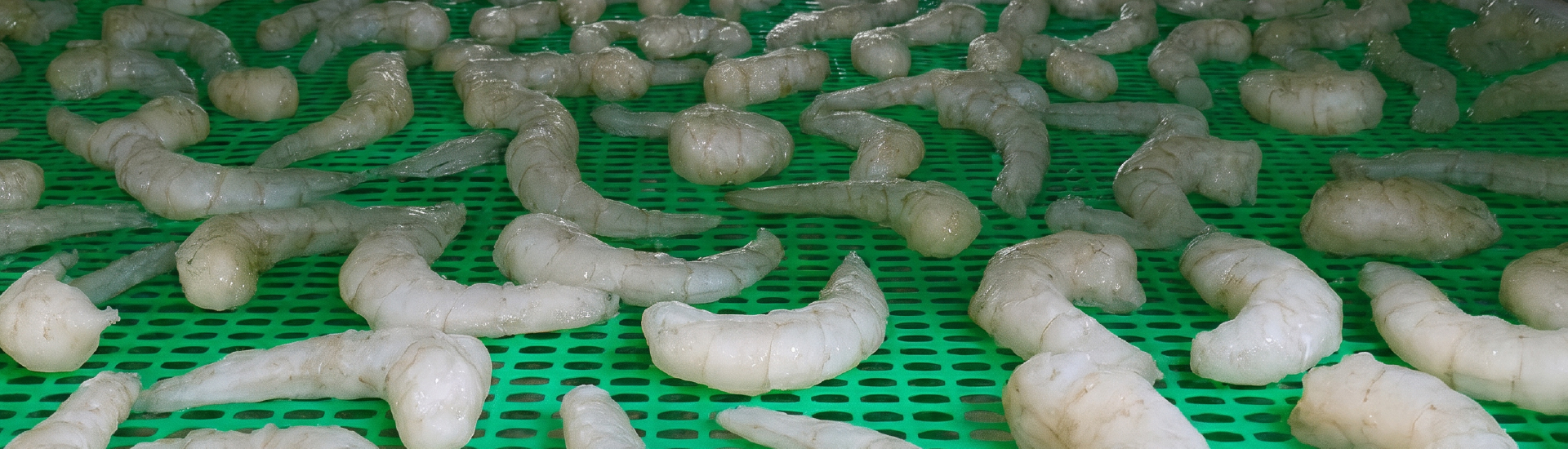 mallas acuicola
