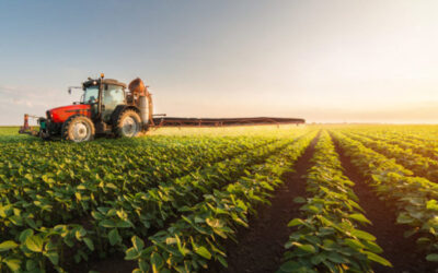 Agricultura protegida 2025–2030: cómo las mallas agrícolas están transformando los cultivos